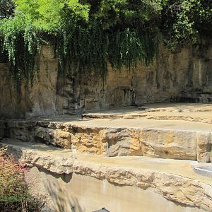 San Antonio Zoo 2010 - Left side of the American Black Bear rocky grotto