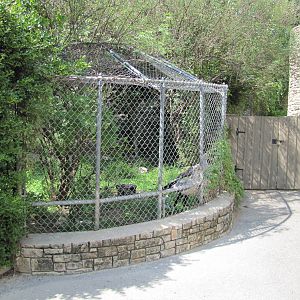 San Antonio Zoo 2010 - Secretary Bird exhibit at the Hixon Bird House