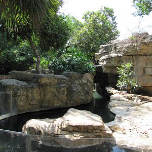 San Antonio Zoo 2010 - Orinoco Crocodile exhibit
