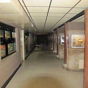 San Antonio Zoo 2010 - General view inside the Reptile House