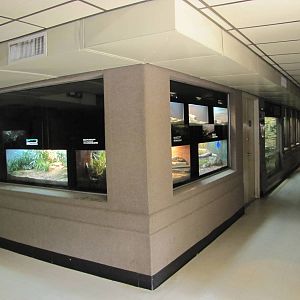 San Antonio Zoo 2010 - General view inside the Reptile House