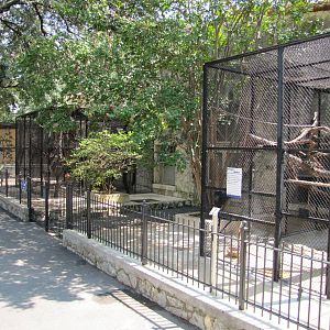 San Antonio Zoo 2010 - One side of the ancient monkey row
