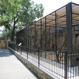 San Antonio Zoo 2010 - Other side of the  ancient monkey row