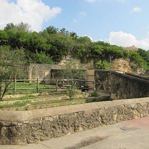 San Antonio Zoo 2010 - Okapi exhibit