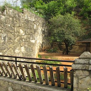 San Antonio Zoo 2010 - Left side of the Spotted Hyena exhibit