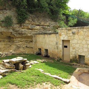 San Antonio Zoo 2010 - Right side of the Crested Porcupine exhibit
