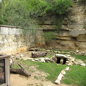 San Antonio Zoo 2010 - Left side of the Crested Porcupine exhibit