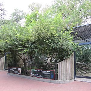 San Antonio Zoo 2010 - Front of the Black Panther exhibit