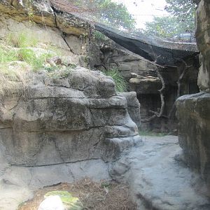 San Antonio Zoo 2010 - Part of the Clouded Leopard exhibit in Cats of the W