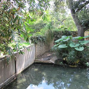 San Antonio Zoo 2010 - Orinoco Crocodile exhibit