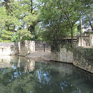 San Antonio Zoo 2010 - Present Malayan Tapir exhibit and former Common Hipp