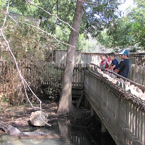 San Antonio Zoo 2010 - Part of a False Ghavial exhibit