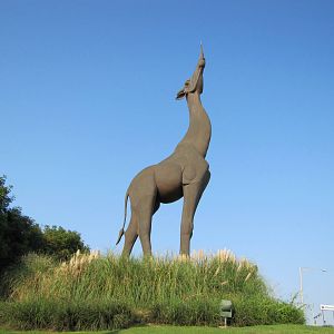 Dallas Zoo 2010 - Statue by the highway leading past the zoo