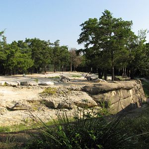 Dallas Zoo 2010 - Gemsbok exhibit in Wilds of Africa