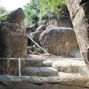 Dallas Zoo 2010 - Part of the Klipspringer exhibit
