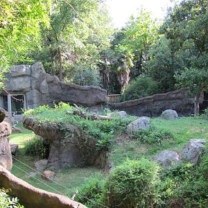 Dallas Zoo 2010 - Another part of the Hammon Gorilla Center