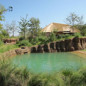 Dallas Zoo 2010 - Part of the African Elephant exhibit in Giants of the Sav