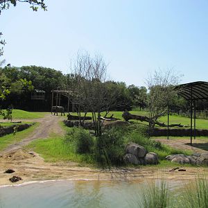Dallas Zoo 2010 - Part of the African Elephant exhibit in Giants of the Sav