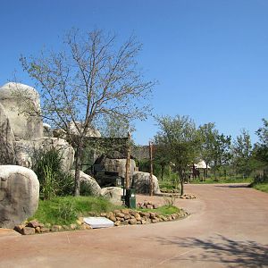 Dallas Zoo 2010 - Pathway in front of the African Lion exhibit