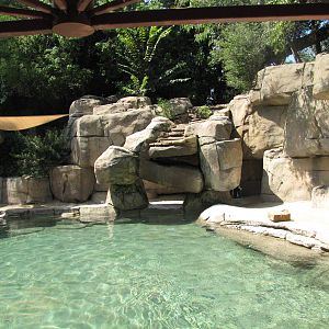 Dallas Zoo 2010 - Right side of the Jackass Penguin exhibit