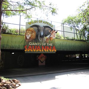 Dallas Zoo 2010 - Passage to Wilds of Africa and Giants of the Savanna