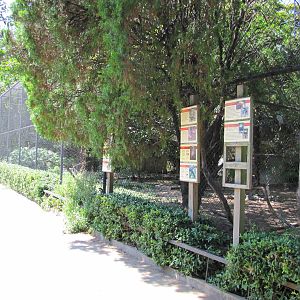 Dallas Zoo 2010 - Aviaries in Zoo North