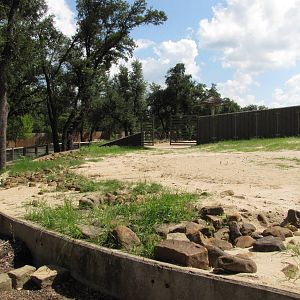 Dallas Zoo 2010 - Filled-in former Hippopotamus exhibit in Zoo North