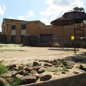 Dallas Zoo 2010 - Part of the Large Mammal Building in Zoo North
