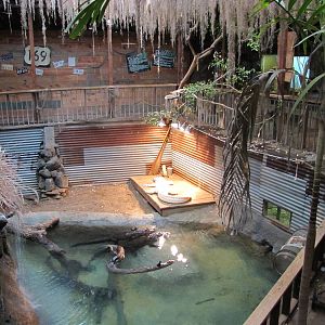 Dallas Zoo 2010 - American Alligator exhibit in the Bird and Reptile Buildi