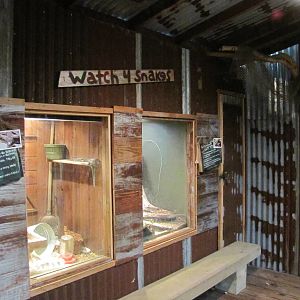 Dallas Zoo 2010 - Native snake exhibits in the Bird and Reptile House