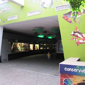 Dallas Zoo 2010 - General view inside the Bird and Reptile House