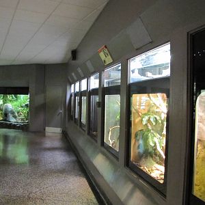 Dallas Zoo 2010 - General view inside the Bird and Reptile Building