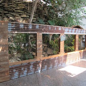 Dallas Zoo 2010 - General view inside the Bird and Reptile Building