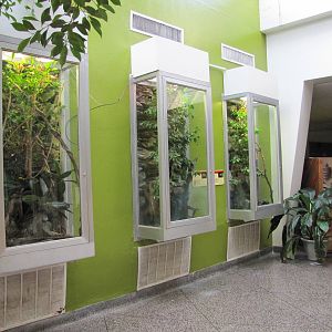 Dallas Zoo 2010 - General view inside the Bird and Reptile Building