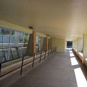 Dallas Zoo 2010 - Viewing windows at the Large Mammal Building