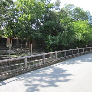 Dallas Zoo 2010 - Front of Giant Anteater exhibit in Zoo North