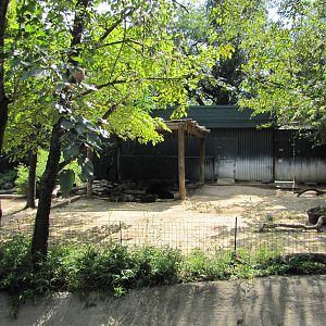 Dallas Zoo 2010 - Mixed exhibit for Brazilian Tapir and Collared Peccary in