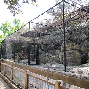 Dallas Zoo 2010 - Alongside Cat Row in Zoo North