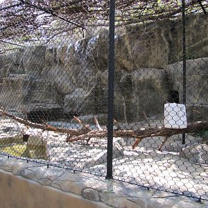 Dallas Zoo 2010 - Former African Lion exhibit in Cat Row in Zoo North