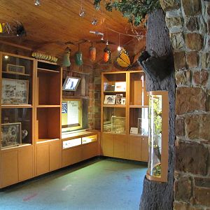 Dallas Zoo 2010 - General view inside Bug U in Zoo North