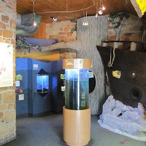 Dallas Zoo 2010 - General view inside Bug U in Zoo North