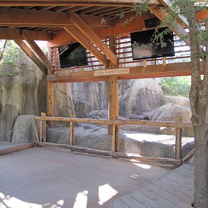 Dallas Zoo 2010 - Big Cat enrichment facility in Giants of the Savanna