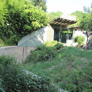 Dallas Zoo 2010 - Left side of the outstanding Kimberly-Clark Chimpanzee Fo