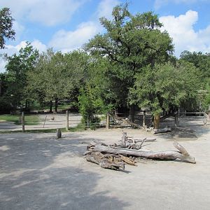Fort Worth Zoo 2010 - Part of the Black Rhinoceros exhibit
