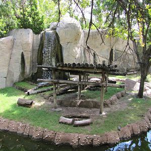 Fort Worth Zoo 2010 - Left part of the Mandrill exhibit in World of Primate