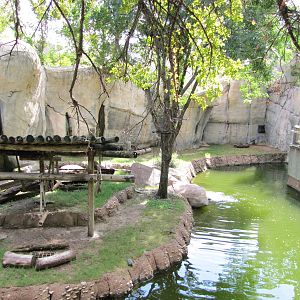Fort Worth Zoo 2010 - Right part of the Mandrill exhibit in World of Primat