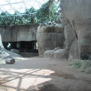 Fort Worth Zoo 2010 - Part of Gorilla indoor exhibit in World of Primates