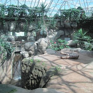 Fort Worth Zoo 2010 - Different part of Gorilla indoor exhibit in World of