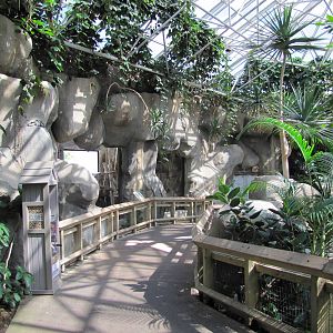 Fort Worth Zoo 2010 - General view inside World of Primates