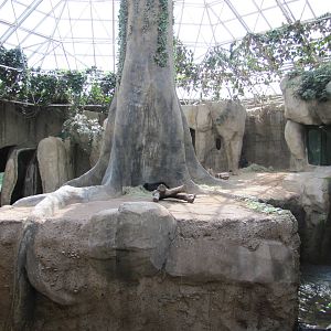 Fort Worth Zoo 2010 - Gorilla indoor exhibit in World of Primates